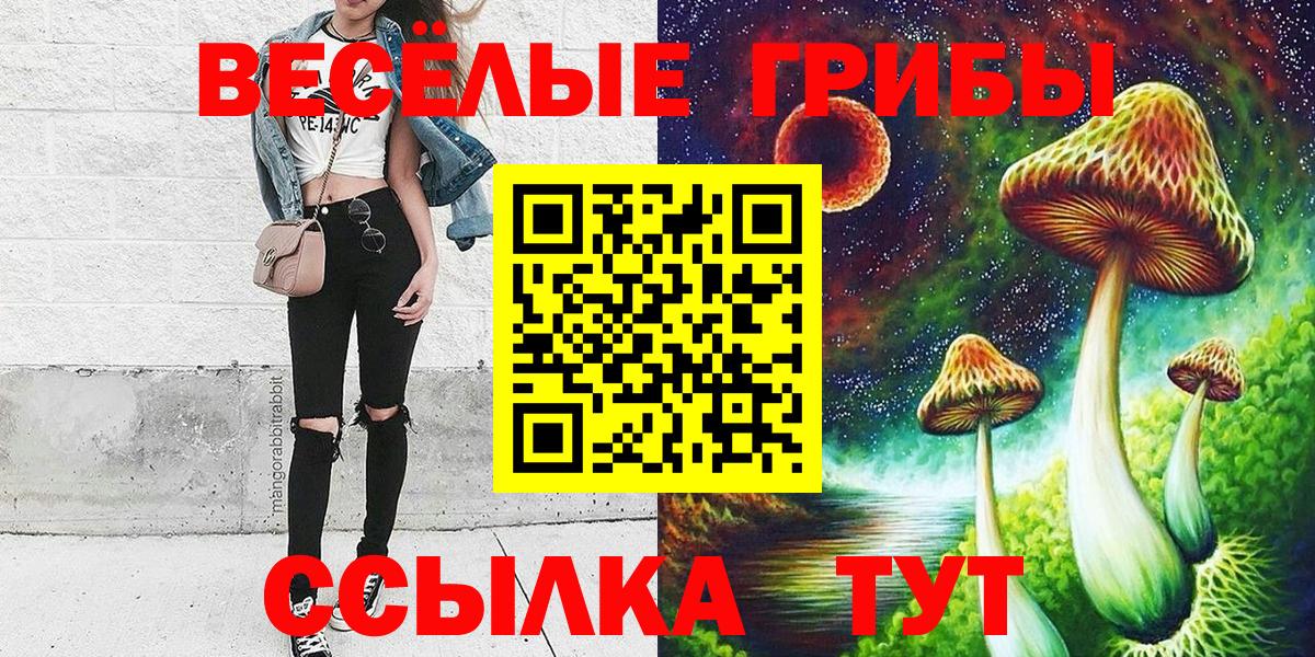 Псилоцибиновые грибы прущие грибы Смоленск