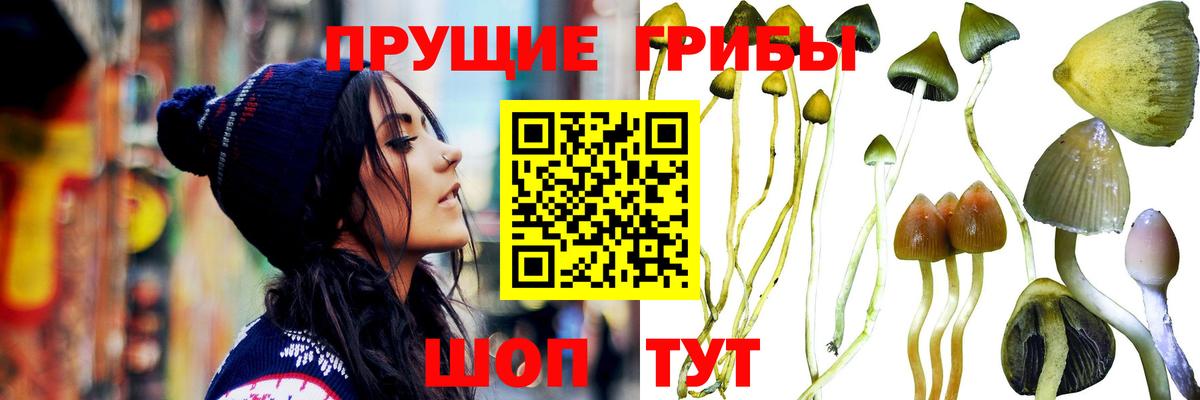 Галлюциногенные грибы ЛСД  купить наркоту  Смоленск  Вход с VPN 